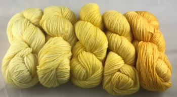 daffodils-cashmere-bliss-gradient-set