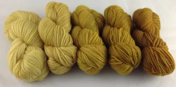 goldenrod-cashmere-bliss-gradient-set