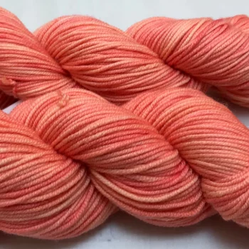 living-coral-merino-bliss-worsted