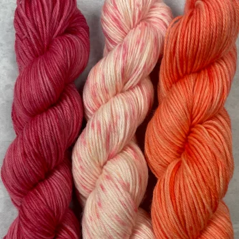 raspberry-sherbet-rainbow-sherbet-confetti-salmon-days-3-color-kit
